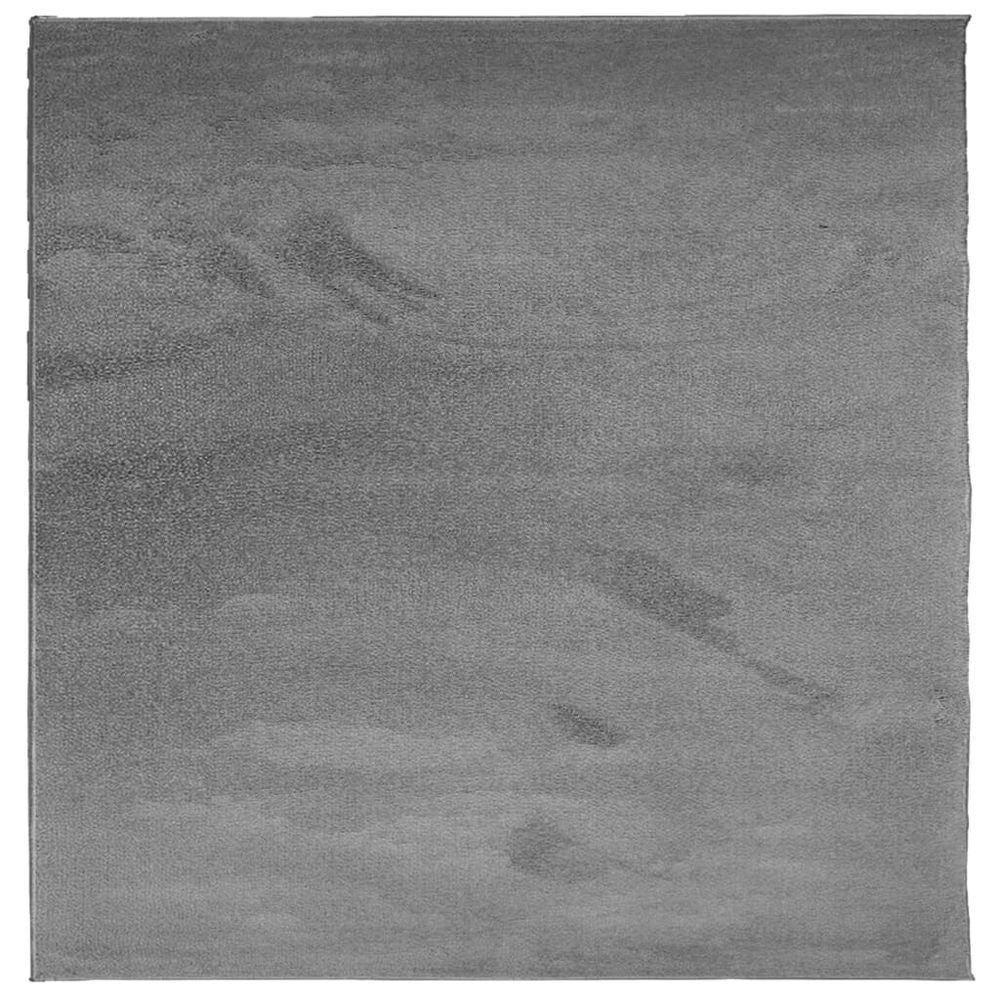 vidaXL Rug OVIEDO Short Pile Anthracite 240x240 cm - SILVIONIX
