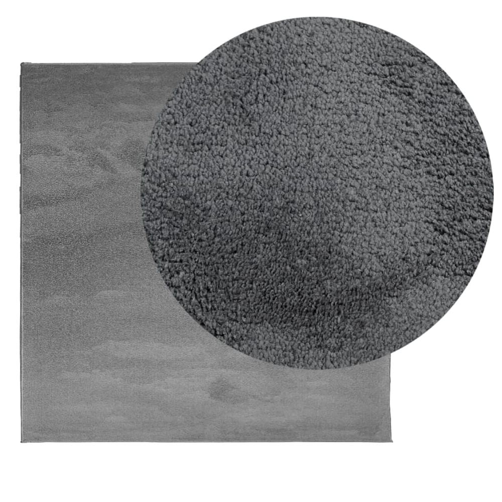 vidaXL Rug OVIEDO Short Pile Anthracite 240x240 cm - SILVIONIX