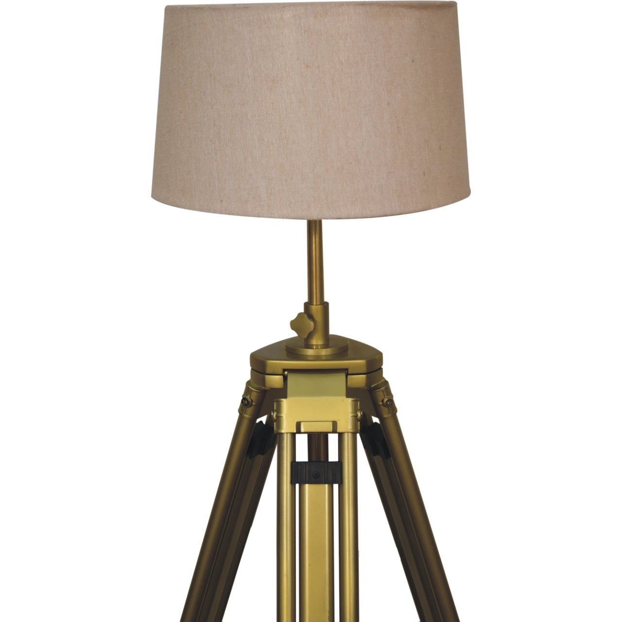 Brass Plated Floor Lamp - SILVIONIX