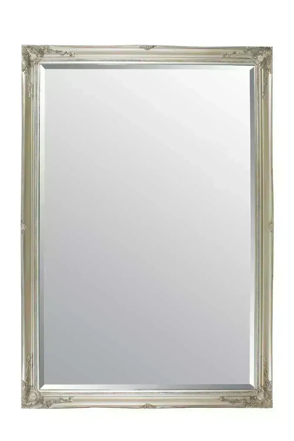 Buxton Extra Large Leaner Mirror 201 x 140 CM - SILVIONIX