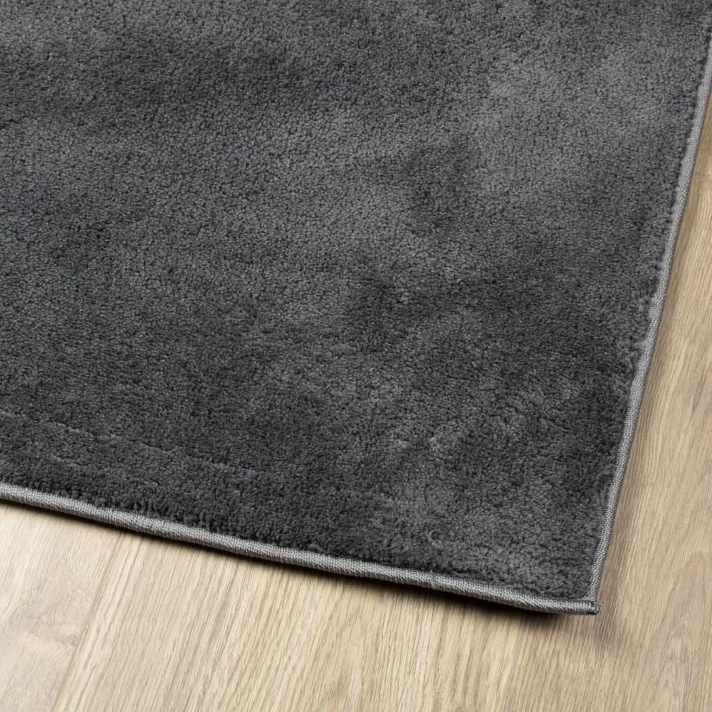 vidaXL Rug OVIEDO Short Pile Anthracite 120x170 cm - SILVIONIX