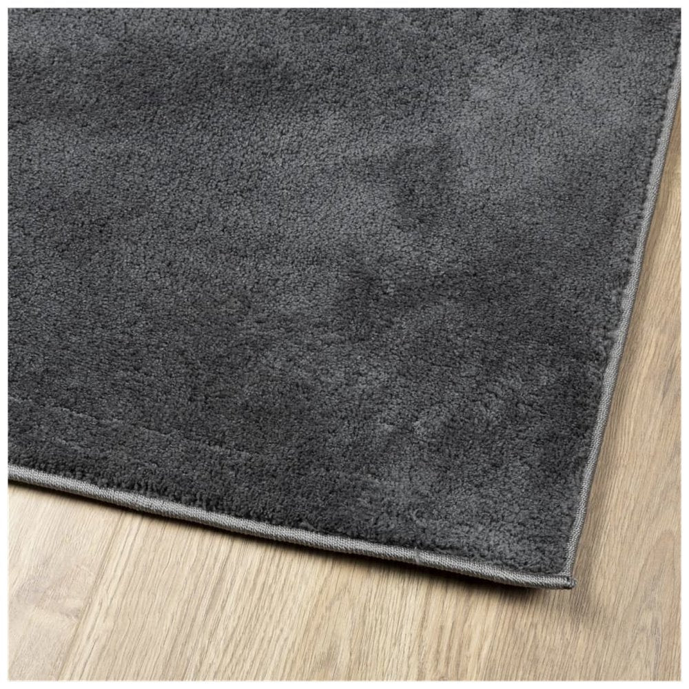 vidaXL Rug OVIEDO Short Pile Anthracite 200x280 cm - SILVIONIX