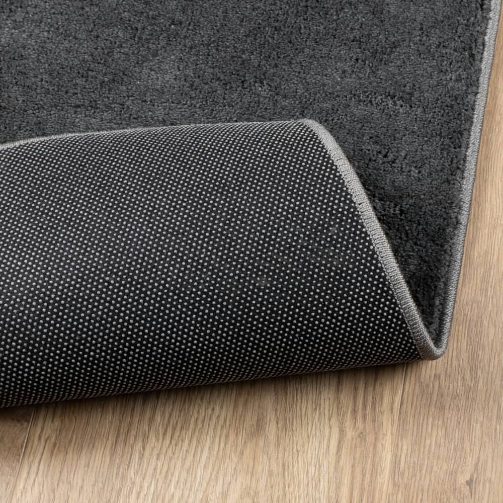 vidaXL Rug OVIEDO Short Pile Anthracite 300x400 cm - SILVIONIX