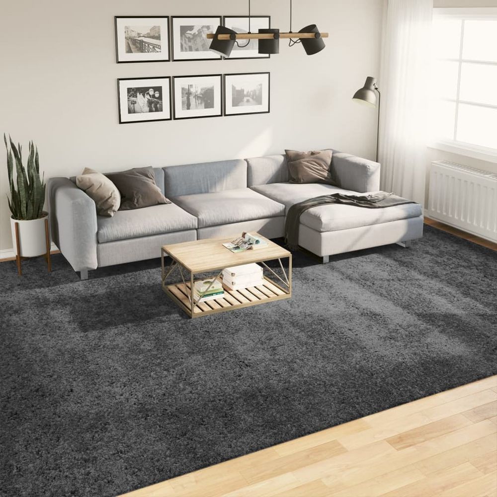 vidaXL Rug OVIEDO Short Pile Anthracite 300x400 cm - SILVIONIX