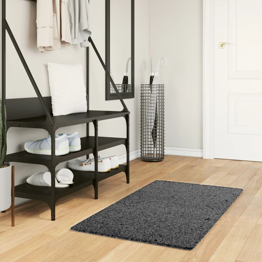 vidaXL Rug OVIEDO Short Pile Anthracite 60x110 cm - SILVIONIX