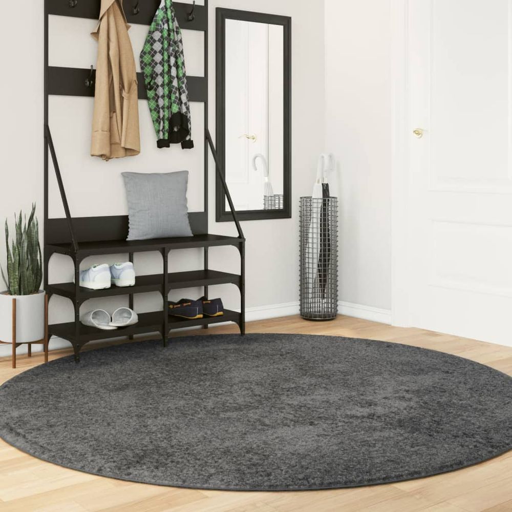 vidaXL Rug OVIEDO Short Pile Anthracite Ø 200 cm - SILVIONIX