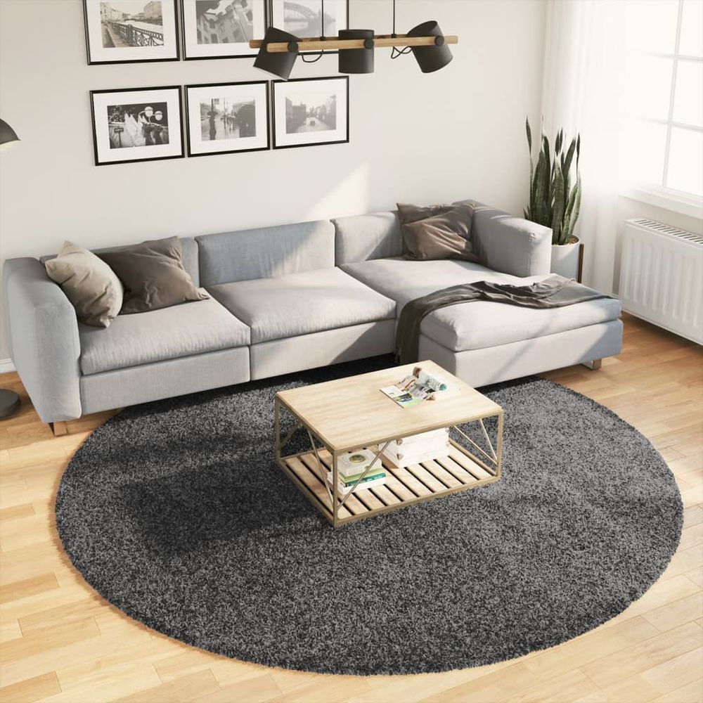 vidaXL Rug OVIEDO Short Pile Anthracite Ø 240 cm - SILVIONIX