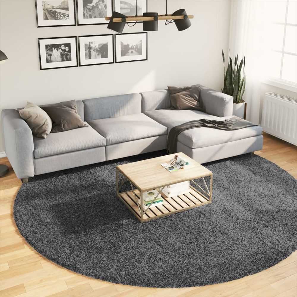 vidaXL Rug OVIEDO Short Pile Anthracite Ø 280 cm - SILVIONIX