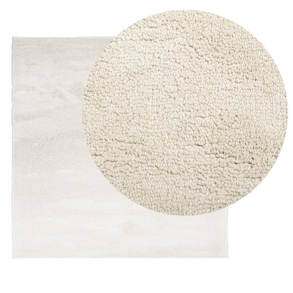 vidaXL Rug OVIEDO Short Pile Beige 120x120 cm - SILVIONIX