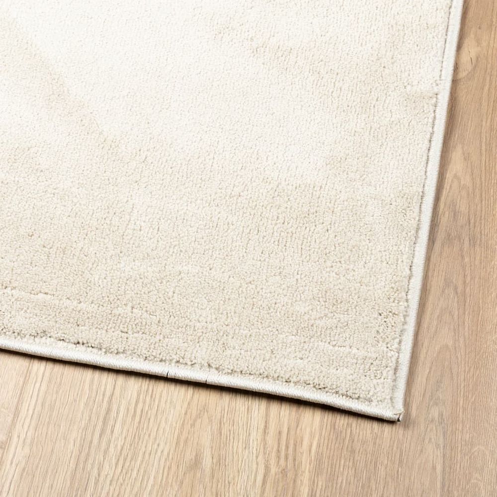 vidaXL Rug OVIEDO Short Pile Beige 60x110 cm - SILVIONIX