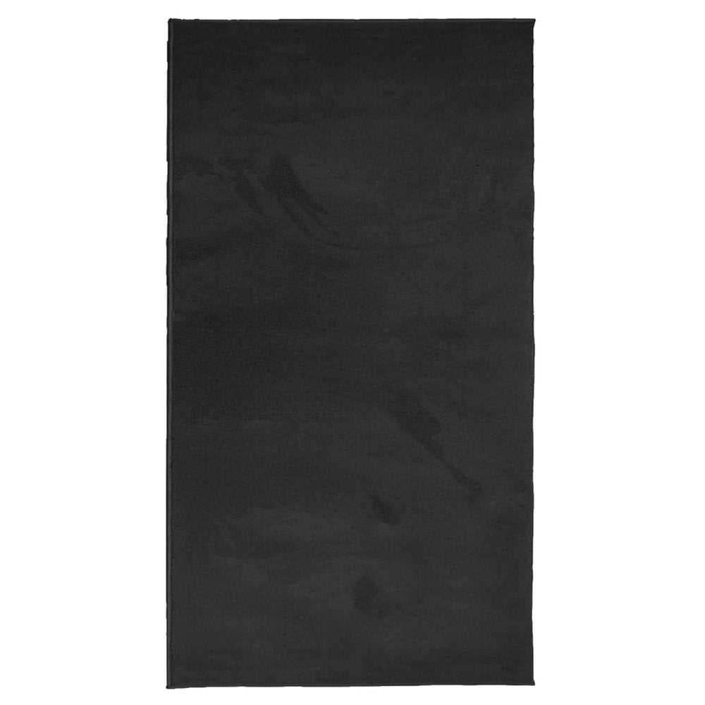 vidaXL Rug OVIEDO Short Pile Black 60x110 cm - SILVIONIX