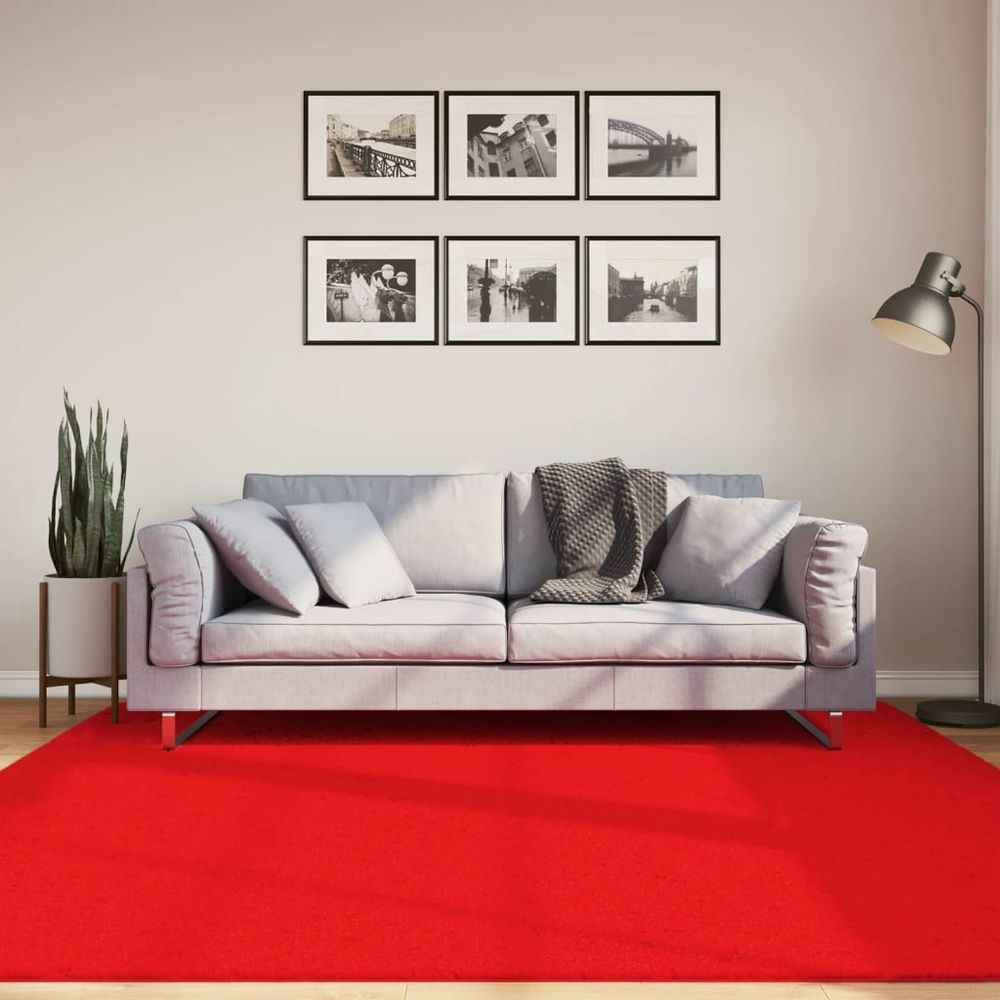 vidaXL Rug OVIEDO Short Pile Red 200x200 cm - SILVIONIX