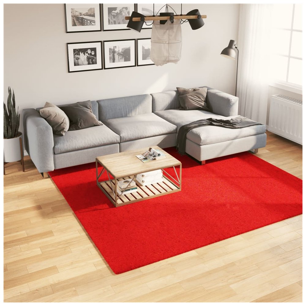 vidaXL Rug OVIEDO Short Pile Red 240x240 cm - SILVIONIX