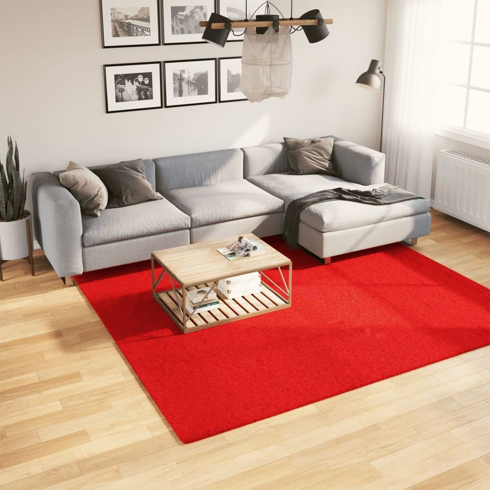 vidaXL Rug OVIEDO Short Pile Red 240x240 cm - SILVIONIX